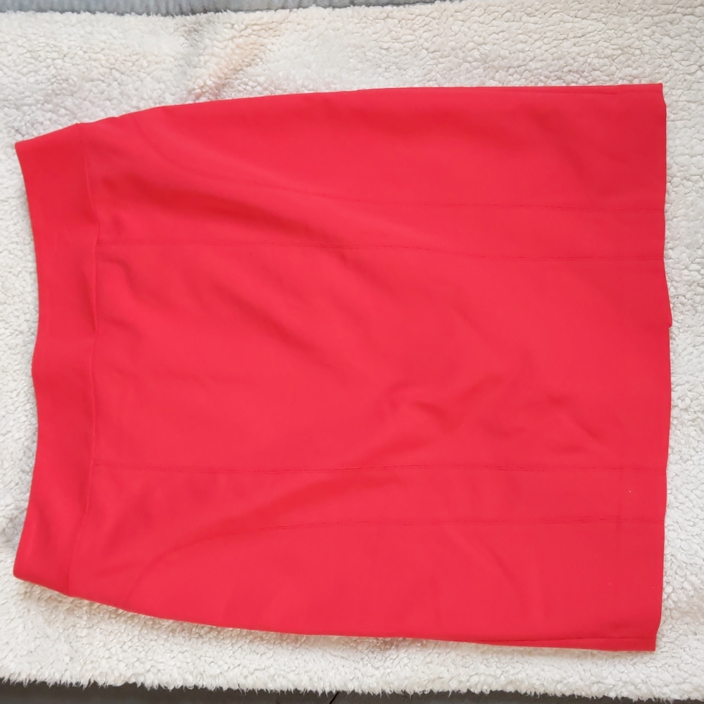 Express Red Pencil Skirt